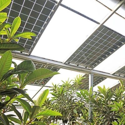 Invernadero solar fotovoltaico de tipo arco de múltiples tramos de película plástica PE/Po para el rendimiento