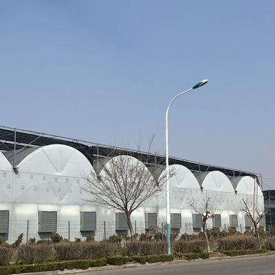 Pago inicial JX-A0050 Invernadero agrícola de tubería de agua para la producción de hortalizas