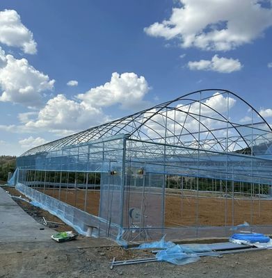 Pago inicial JX-A0050 Invernadero agrícola de tubería de agua para la producción de hortalizas
