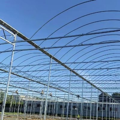 Invernadero personalizado con película de múltiples estadios para plantar flores 30 días de garantía de devolución de dinero
