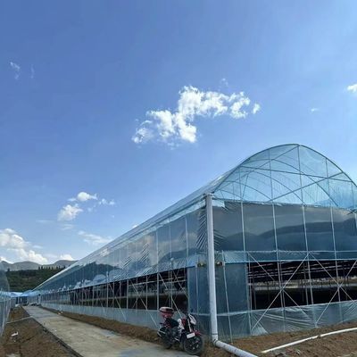 Invernadero Multi-Span con sombreado 30 días de devolución reembolsos ahora en oferta de tiempo limitado