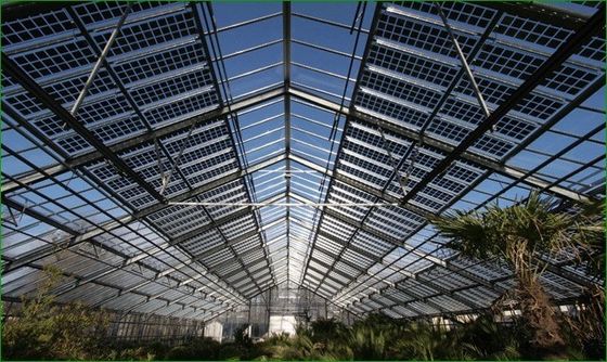 Opción de personalización para invernaderos fotovoltaicos comerciales de aislamiento térmico