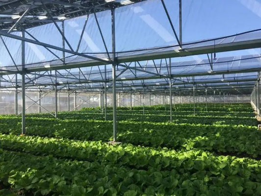Opción de personalización para invernaderos fotovoltaicos comerciales de aislamiento térmico