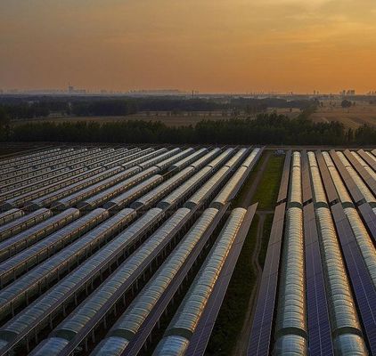 Opción de personalización para invernaderos fotovoltaicos comerciales de aislamiento térmico