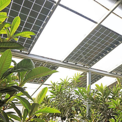 Hidroponía y cultivo sin suelo Invernadero multicapa jx-SG-6 con almacenamiento de calor