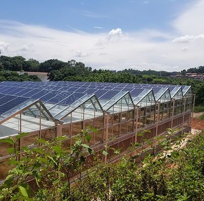 Hidroponía y cultivo sin suelo Invernadero multicapa jx-SG-6 con almacenamiento de calor