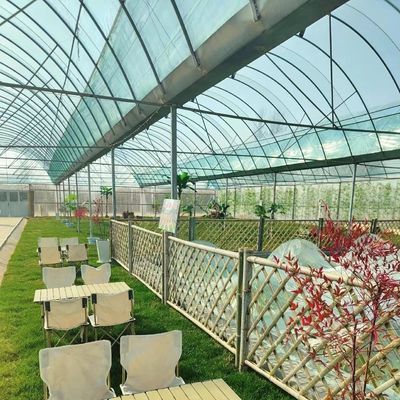 Invernadero multi-espacio para cultivo de muestras de hidroponía US 20 / metro cuadrado