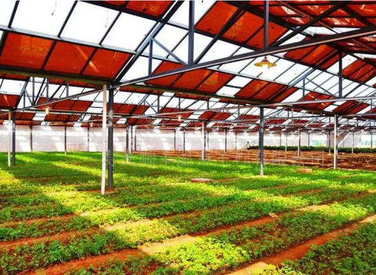 6/9.6/12metros Invernaderos fotovoltaicos de una sola/múltiplas extensiones para iluminar el campo