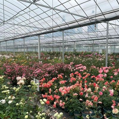 Paquete de invernaderos flexibles para la producción de hortalizas con varias extensiones de espacio Peso bruto 20.000 kg