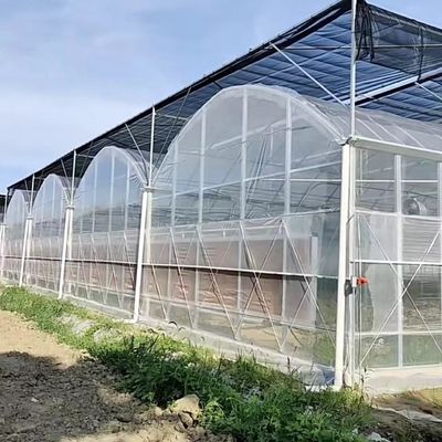 Paquete de invernaderos flexibles para la producción de hortalizas con varias extensiones de espacio Peso bruto 20.000 kg