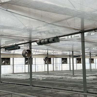 Paquete de invernaderos flexibles para la producción de hortalizas con varias extensiones de espacio Peso bruto 20.000 kg