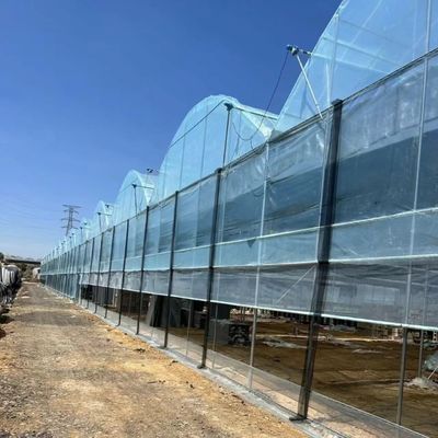 Solución personalizada de rendimiento de invernadero de múltiples períodos para la producción de vegetales hidropónicos