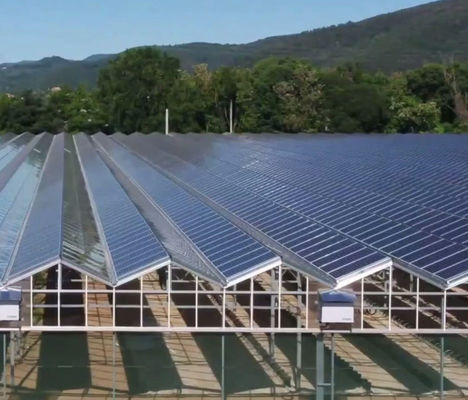 Materiales de construcción Estructura de acero Tipo de arco de múltiples tramos Invernaderos fotovoltaicos jx-SG-9