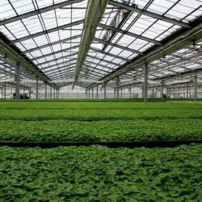 Conservación de calor de efecto invernadero con almacenamiento de gran capacidad y paneles fotovoltaicos