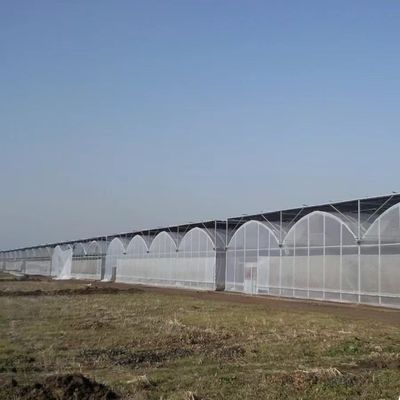 Invernadero multi-span con riego avanzado sobre el costo de envío y el tiempo de entrega