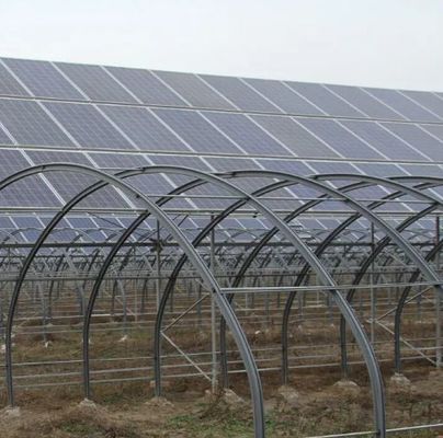 Invernadero de un solo arco de alta humedad con techo en forma de arco/Venloche y paneles solares