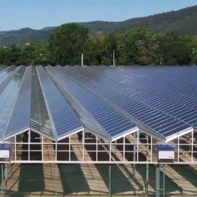 Invernadero de un solo arco de alta humedad con techo en forma de arco/Venloche y paneles solares