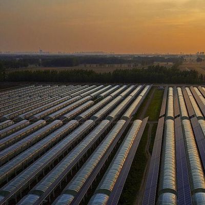 30 días devolución reembolsos doble capa PE/Po película de plástico invernadero solar fotovoltaico