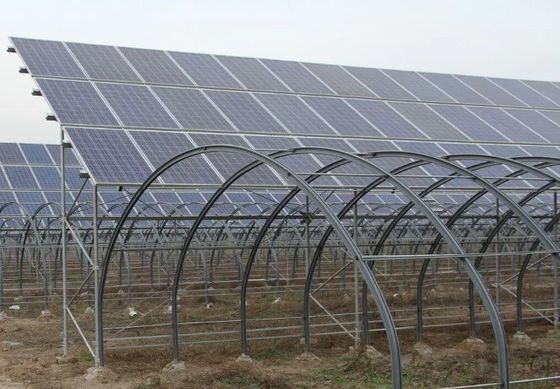 30 días devolución reembolsos doble capa PE/Po película de plástico invernadero solar fotovoltaico