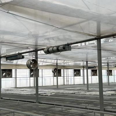 Invernadero de varias extensiones para la producción de hortalizas US 20/m2 Min. Muestras de pedido