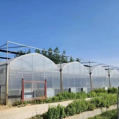 Producción de vegetales Po Film invernadero con sistema de sombreado y 30 días de devolución de reembolsos