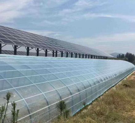 PE/Po Película de plástico Inovación de invernaderos fotovoltaicos 1209.00cm * 235.00cm * 239.00cm