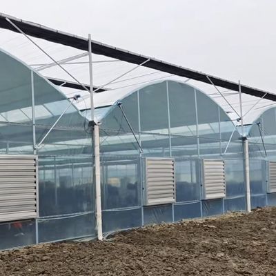 Producción de vegetales Po Film invernadero con sistema de sombreado y 30 días de devolución de reembolsos