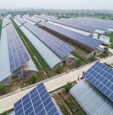 Personalización Tipo de arco de múltiples tramos Pepino Lechuga Invernaderos fotovoltaicos jx-SG-20