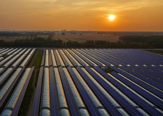 Personalización Tipo de arco de múltiples tramos Pepino Lechuga Invernaderos fotovoltaicos jx-SG-20