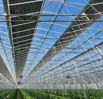 Personalización Tipo de arco de múltiples tramos Pepino Lechuga Invernaderos fotovoltaicos jx-SG-20