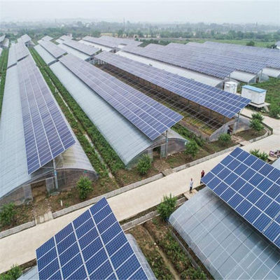 Personalización Tipo de arco de múltiples tramos Pepino Lechuga Invernaderos fotovoltaicos jx-SG-20