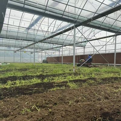 Invernadero de película múltiple para el cultivo hidropónico protege a las plantas del clima severo