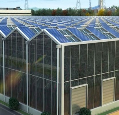 Personalización Tipo de arco de múltiples tramos Pepino Lechuga Invernaderos fotovoltaicos jx-SG-20