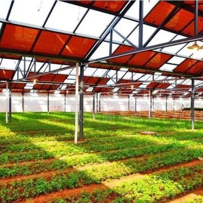 Estructura de acero Invernaderos Energía- jx-SG-21 Tecnología de aislamiento térmico con normas