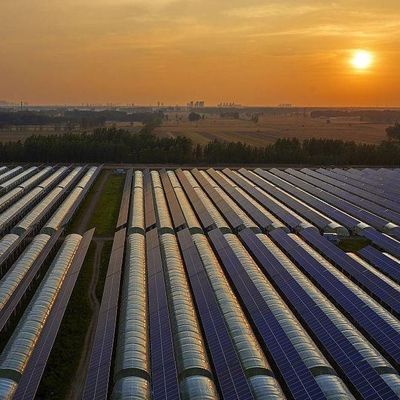 Invernaderos fotovoltaicos de ventilación hidropónica 6/9 y 6/12 metros para la producción de cultivos