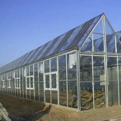 Invernaderos fotovoltaicos de ventilación hidropónica 6/9 y 6/12 metros para la producción de cultivos