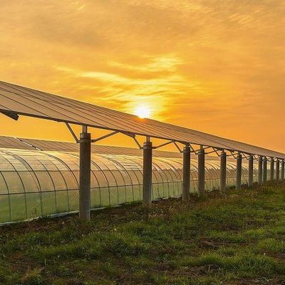 Invernadero de cobertura multicapa para energía solar 2000.000kg de peso bruto del paquete