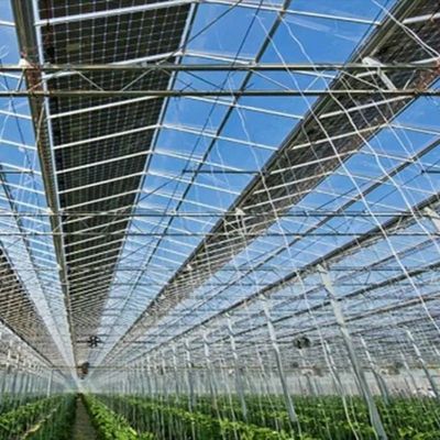 Invernadero de cobertura multicapa para energía solar 2000.000kg de peso bruto del paquete