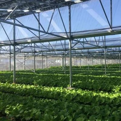 Invernaderos fotovoltaicos comerciales innovadores de una sola/múltiplas extensiones para el crecimiento sostenible