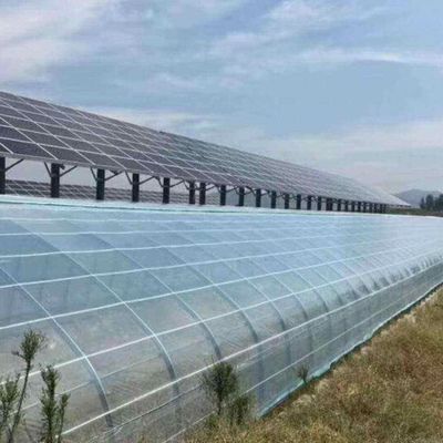 Invernaderos fotovoltaicos comerciales innovadores de una sola/múltiplas extensiones para el crecimiento sostenible