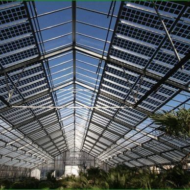 Almacenamiento de calor Invernaderos fotovoltaicos comerciales de arco único Rendimiento a largo plazo