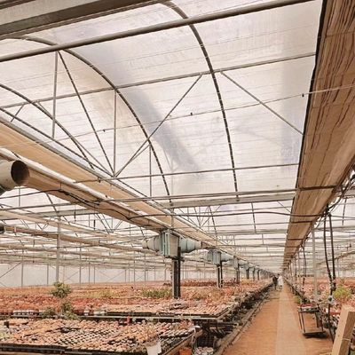 Invernadero de producción de vegetales Po Film con sistema de tuberías de agua y bajo costo de envío