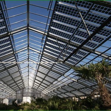 Invernadero fotovoltaico comercial con material de cobertura de película y calefacción sin calefacción