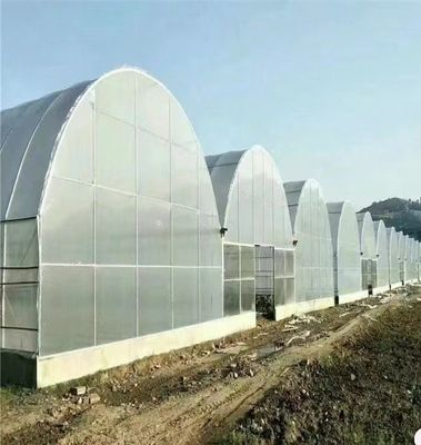 Invernadero de túnel alto de gran envergadura para el cultivo a gran escala