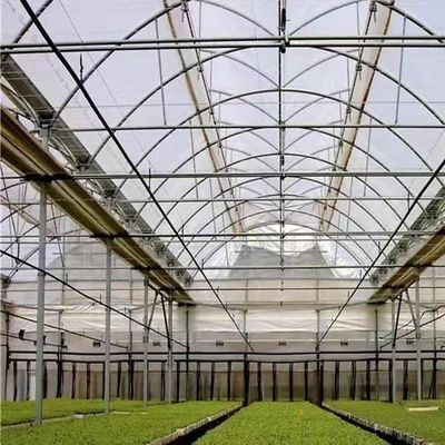 Invernadero de túnel alto de gran envergadura para el cultivo a gran escala