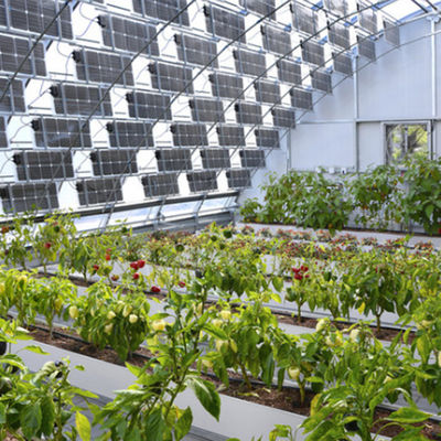 Sistema fotovoltaico para invernaderos comerciales con película de plástico PE/Po para la agricultura sostenible