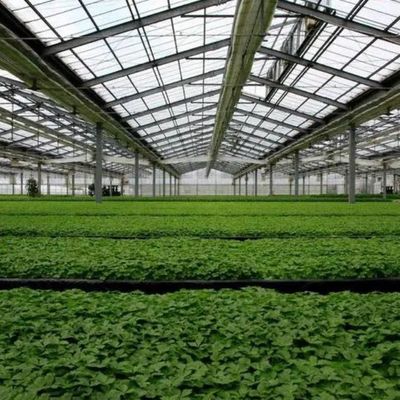 Sistema fotovoltaico para invernaderos comerciales con película de plástico PE/Po para la agricultura sostenible