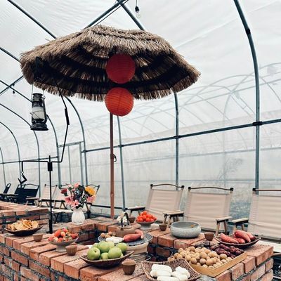 Estructura de acero Invernadero de sombra de gran tamaño para hidroponía de cultivo