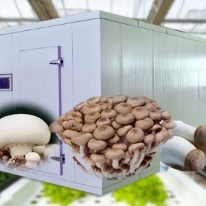 Invernadero de contenedores de envío para el cultivo de hongos en diseño inteligente JX-CG-0001