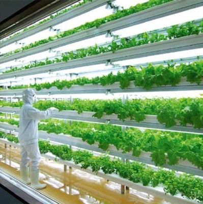 Invernadero de contenedores de envío para el cultivo de hongos en diseño inteligente JX-CG-0001